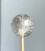 天然黃幽靈單珠12.8mm 側面視角銀髮分布