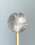天然黃幽靈單珠12.8mm 側面視角銀髮分布